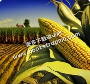 每一场比赛，都值得深入分析 - 世界杯赛事