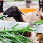 搜索 - 世界杯赛事